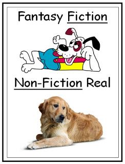 Free Literacy Posters Anchor Chart Kindergarten, Literacy Poster, Nonfiction Anchor Chart, Teaching Story Elements, Fiction Vs Nonfiction, Kindergarten Language Arts, Reading Anchor Charts, Elementary Library, Teacher Librarian