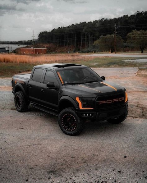 Honda Ridgeline Custom, Raptor Truck, Ram Trx, Tundra Truck, Ford Trucks F150, Ford Ranger Raptor, Trucks Lifted Diesel, Ford Ranger Truck, Ford F100