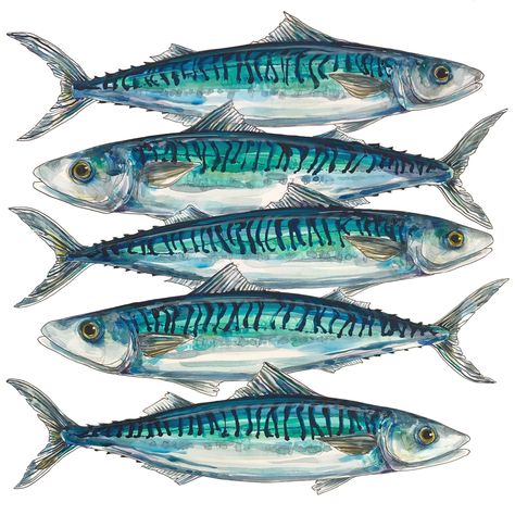 Looking after the ocean - aliellydesign Mackrell Fish, Mackerel Drawing, Mackerel Painting, Mackerel Art, Abstract Fish Painting, Atlantic Mackerel, Marine Life Art, Colourful Fish, Mackerel Fish