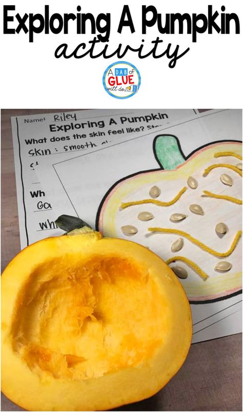 Fall is the perfect time of year to explore pumpkins with your students! While your students are chatting about their Halloween costumes, sneak in a little simple science lesson as your open up your pumpkins and look inside with this exploring a pumpkin activity. This a great fall STEM activity for preschool and kindergarten classroomS Pumpkin Exploration, Pumpkin Science Activities, Inside Of A Pumpkin, Pumpkin Activity, Fall Stem Activities, Pumpkin Science, Kindergarten Classrooms, Stem Activities Preschool, Activity For Preschool