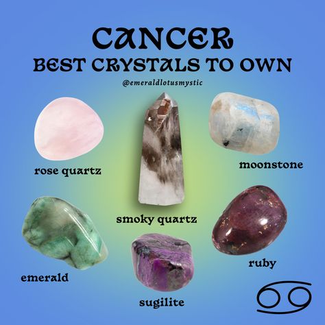 Crystal Powers, Crystal Tips, Zodiac Cards, Different Zodiac Signs, Best Crystals, Leo Sign, Water Signs, Crystals Healing Properties, Each Zodiac Sign