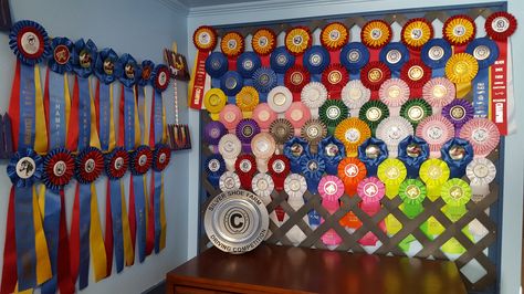 Award Ribbon Display, Horse Ribbon Display, Show Ribbon Display, Horse Show Ribbons, Horse Ribbons, Ribbon Display, Ribbon Projects, Ribbon Wall, Ribbon Ideas