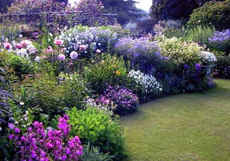 English Flower Garden, Kebun Herbal, Funny Vine, Garden Flowers Perennials, نباتات منزلية, Garden Flower Beds, Desain Lanskap, Cottage Garden Design, Flower Garden Design