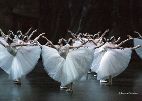 Marguerite — Dancers of the Paris Opera Ballet ph. Emma... Beatiful Aesthetic, Sleeping Beauty Ballet, Ballet Drawings, English National Ballet, Ballet Music, Swan Lake Ballet, Ballet Images, Opera Ballet, Ballet Pictures