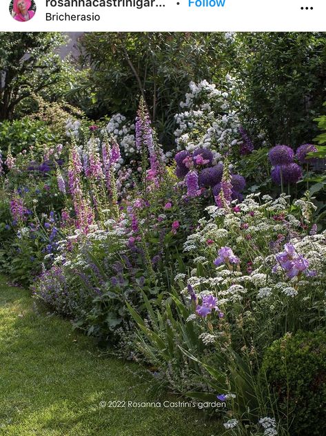 Pretty Garden Borders, British Garden Flowers, Country Garden Borders, New Build Cottage Garden, Pollinator Border, Mixed Borders Gardens, Front Garden Layout, Round Garden Design, Flower Border Garden