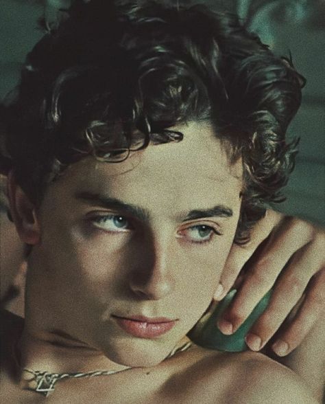 Regulus Acturus Black, Somewhere In Northern Italy 1983, Timmy Turner, Timmy T, Regulus Black, All The Young Dudes, The Perfect Guy, 영감을 주는 캐릭터, Timothee Chalamet