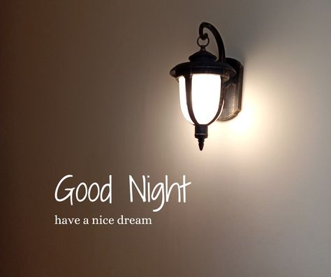 Good Night😴 Good Night Meme, Good Night Cards, Nice Dream, Cute Good Morning Images, Good Night Flowers, Good Night Love Images, Good Morning Flowers Pictures, Good Morning Flowers Gif, Good Night Friends