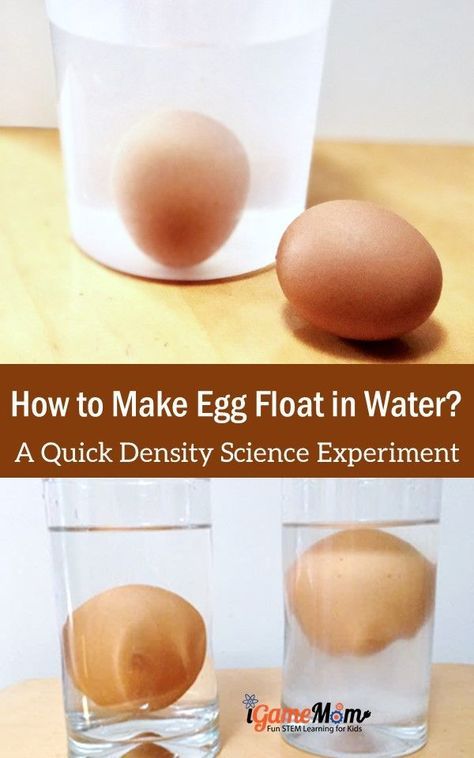 How to make egg float in water? An easy science experiment about density and buoyancy. Kitchen STEM activity for kids all ages. Egg Float in Salt Water #iGameMomSTEM #ScienceForKids #STEMforKids #ScienceActivities #STEMactivities #EggSaltWater Science Games For Kids, Stem Activity For Kids, Water Science Experiments, Science Demonstrations, Preschool Stem, Stem Ideas, How To Make Eggs, Stem Activity, Easy Science Experiments