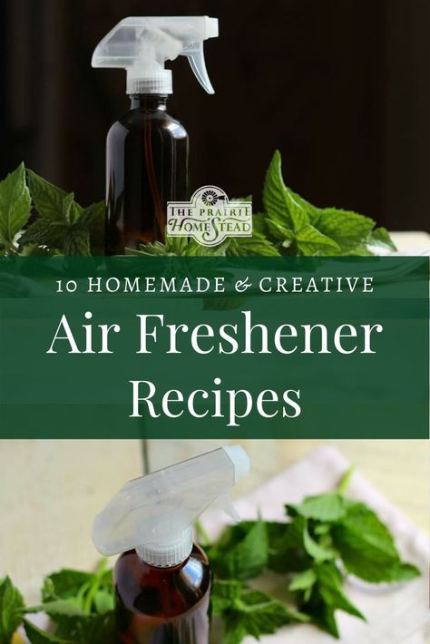 Natural Air Freshener Diy, Homesteading Hacks, Air Freshener Recipes, The Prairie Homestead, Homesteading Life, Easy House Cleaning, Prairie Homestead, Diy Household Cleaners, Nontoxic Cleaning