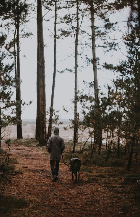 I love going on walks in the woods with my human, he takes such good care of me. I love him Dog Walk Photography, Dog And Human Aesthetic, Dog Hiking Photography, Dog Nature Aesthetic, Autumn Dog Walk Aesthetic, Winter Dog Walk Aesthetic, Dog Dad Aesthetic, Therapy Dog Aesthetic, Mutt Dog Aesthetic