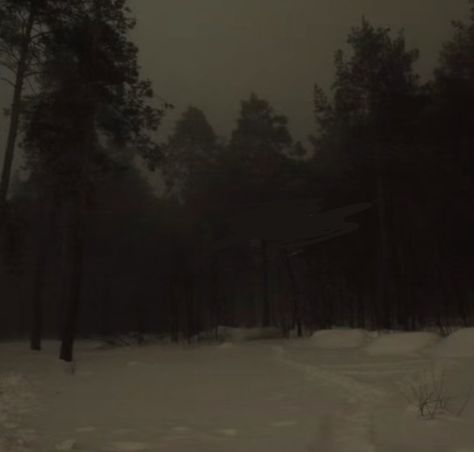 Dark Naturalism, Dreamcore Weirdcore, Dark Nature Aesthetic, Winter Scenery, Dark Photography, Winter Night, Winter Aesthetic, Night Aesthetic, Art Anime