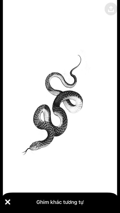 Snake Tattoo Template, Black Snake Tattoo, Japanese Snake, Anatomical Tattoos, Old Scool, Snake Tattoo Design, Tattoo Templates, Egyptian Tattoo, Snake Tattoo