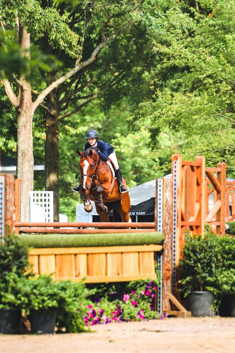 Uppervilla Horse & Colt Show | hunter ring Hunter Horse Show, Horse Show Aesthetic, Equestrian Jumping, Hunter Horse, Show Jumping Horses, Horse Clipping, Horse Inspiration, Cowgirl Aesthetic, Horse Videos