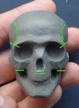 Clay Skull, Sculpting Tutorials, Anatomy Sculpture, Sculpture Art Clay, Tanah Liat, Skull Carving, Clay Art Projects, Portrait Sculpture, Sculpting Clay