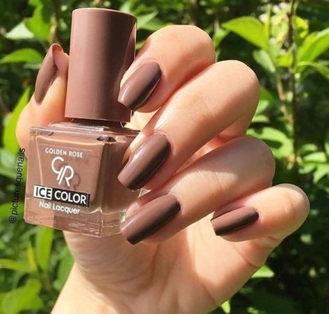 Polish Fashion, Nail Paint Shades, Beauty Hacks Nails, Lipstick Kit, Simple Acrylic Nails, Rare Pictures, Golden Rose, Classy Nails, Pretty Acrylic Nails