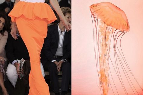 Jelly Fish Inspired Garments, Jellyfish Fashion Inspiration, Jellyfish Silhouette, Jill Sander, Nature Inspired Fashion, Sea Dress, Ocean Fashion, Stitching Dresses, Theme Dress