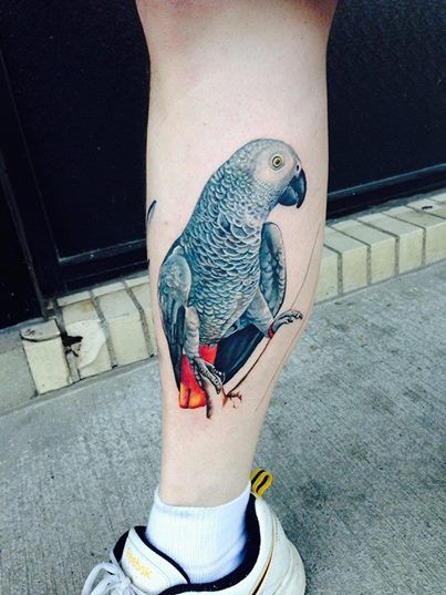 "African gray parrot I did today! Next session background!" - Sarah Miller African Grey Tattoo, Parrot Tattoo, Sarah Miller, African Grey Parrot, Awesome Tattoos, Arm Sleeve Tattoos, Feather Tattoo, African Grey, Feather Tattoos