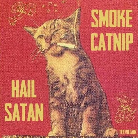 Seshomaru Y Rin, The Afterlife, Vintage Poster Art, Silly Cats, Vintage Magazine, Room Posters, Cool Posters, Ticks, Graphic Poster