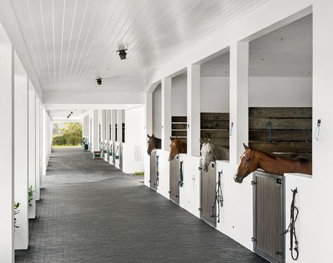 The barn and stable of your horses is of utmost importance when designing a space like this. It was crucial for our team to create a environment that was comfortable for these residents, yet still clean and sharp for the design. Equestrian Interior Design, Horse Barn Interior, Equestrian Interior, Barn Interior Design, Luxury Horse Barns, Dream Barn Stables, Modern Equestrian, Equestrian Stables, Equestrian Barns