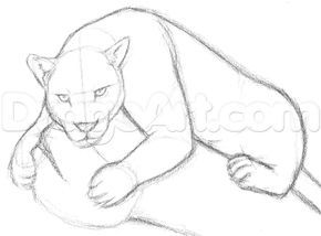 how to draw a jaguar step 4 Easy People Drawings, Relationship Drawings, Easy Disney Drawings, Drawings For Boyfriend, Draw Faces, Panther Art, Rainforest Animals, Canvas Drawings, Drawing Faces