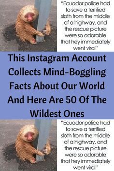 Disneyland Tickets, Spotlight Stories, Teen Life Hacks, Funny Text Messages, Wild Ones, Inspirational Story, Bored Panda, Our World, Facts About