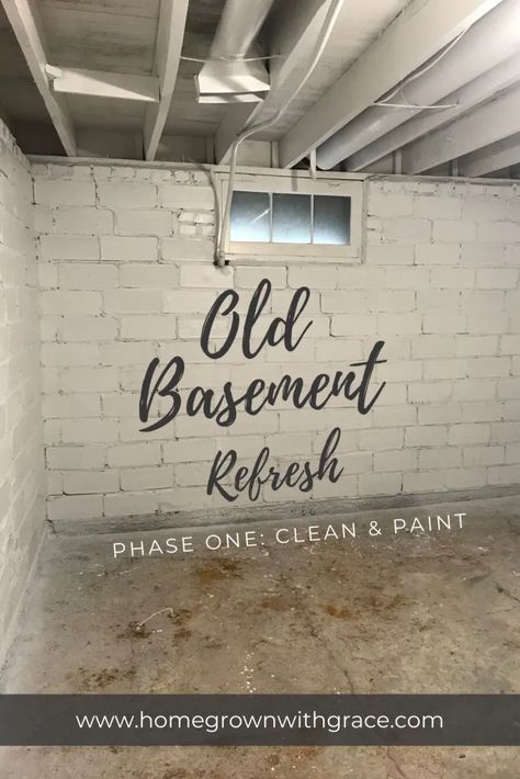 Basement Diy Unfinished, Clean Unfinished Basement, Basement Remodel Diy Inexpensive, Old House Basement Ideas, Diy Basement Renovation, Storage Basement Ideas, Dingy Basement Makeover, Budget Friendly Basement Remodel, How To Make An Unfinished Basement Cozy