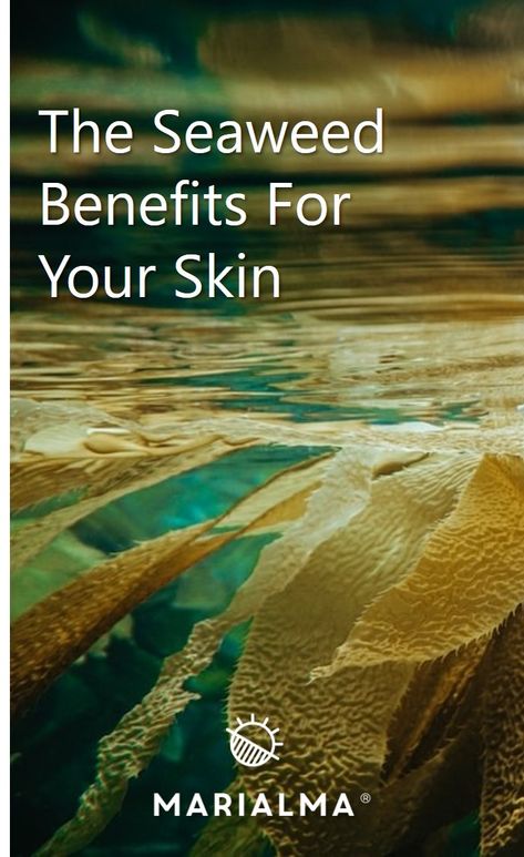 Whether in beauty or at the table, seaweed is a part of our daily lives. It’s time to discover its benefits. Read our article below. Seaweed Benefits, Seaweed Mask, Serum Benefits, Immune Response, At The Table, Chinese Medicine, Living Well, Damaged Skin, Skin Health