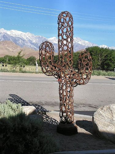 CA040A Horseshoe Cactus by robin_hinkley, via Flickr Cactus Landscaping, Horseshoe Cactus, Cactus Decorations, Metal Cactus, Fake Cactus, Cactus Patch, Arizona Decor, Horseshoe Crafts Projects, Horseshoe Projects