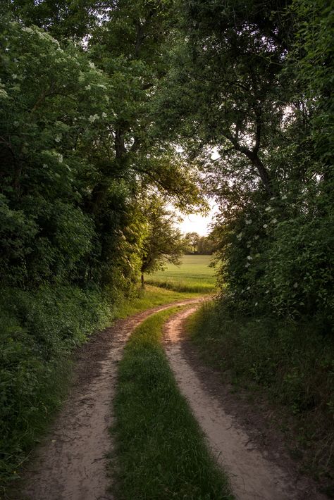 Road Scenery, Happy New Year 2016, A Happy New Year, Back Road, Work It, Nature Aesthetic, Pretty Places, Country Life, Farm Life