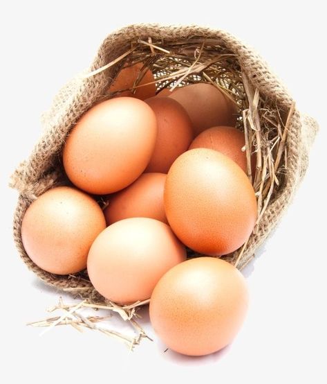 Zero Carb Snacks, Health Benefits Of Eggs, Egg Benefits, Egg Pictures, Egg Packaging, Eating Food Funny, Fruit Picture, Boiled Egg Diet, Food Png