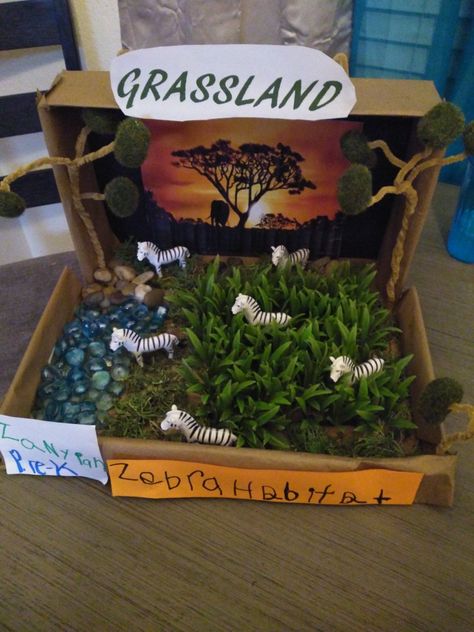 Giraffe Diorama, Grassland Project, Giraffe Project, Diorama Project, School Projects, Craft Ideas, Quick Saves