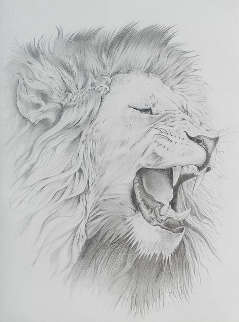 Jungle King, Tiger Sketch, Faber Castell Pencil, Realistic Animal Drawings, King Drawing, Lion Sketch, Pencil Drawing Images, Lion Drawing, Jesus Drawings