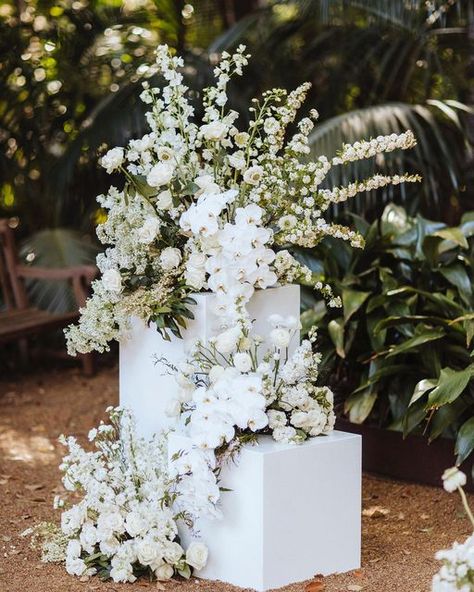 Ａｎｎａｌｉｅｓｅ Ｍａｆｆｅｓｃｉｏｎｉ on Instagram: "Plinth the ceremony…. It’s having a moment 🤍 Captured by @rosswallacephoto With @white_events . . . . . . . . . #ceremony #ceremonydecor #weddingday #weddinginspiration #forflowerlovers #floraldesign #perthflorist #perthflowers #perthwedding #perthweddingflorist #perthweddingflowers #nouba #junebugweddings #voguewedding #stage #perthluxury #perthblogger #perthbloggers #perthnow #perthpop #stmperth #perthisok #perthlife #perthengagements #perthengaged #p Wedding Ceremony Plinth Flowers, Wedding Plinths Ceremony, Ceremony Plinths, Wedding Decors, Wedding Altars, Vogue Wedding, Wedding 2024, Ceremony Flowers, Wedding Mood Board