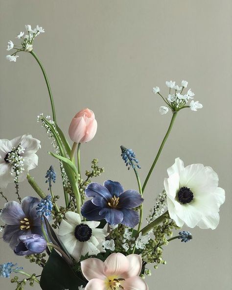 Rachel : florist & teacher on Instagram: “Lovely centerpiece with such lovely ingredients 🤍 #coveredcenterpiece #muscari #allium #anemone #spireathunbergii #peachtulip…” Anemone Wedding Flowers, Anemone Aesthetic, Flowers Aesthetic Bouquets, Anemone Flower Wedding, Anemone Flower Bouquet, Anemones Bouquet, Tulips Centerpiece, Anemone Centerpiece, Florist Aesthetic