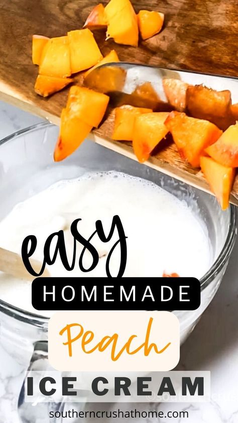 diced fresh peaches into cream for homemade peach ice cream Peach Ice Cream Recipe, Homemade Peach Ice Cream, Rocky Road Ice Cream, Chocolate Covered Nuts, Peach Ice Cream, Making Homemade Ice Cream, Ice Cream Mixture, Ice Cream Base, Peach Recipe