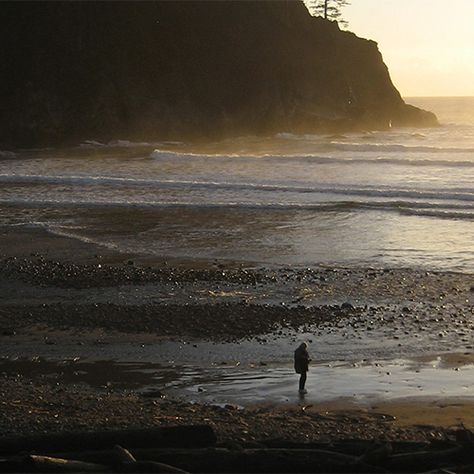 Curious about surfing in the Pacific Northwest? Here are four surf spots in the PNW that you should visit on your next surf trip. Pacific Northwest Coast, Pacific Northwest Hiking, Pacific Northwest Roadtrip, Oregon Surfing, Pacific Northwest Surfing, Moonstone Beach, Best Surfing Spots, Rocky Shore, Adventure Inspiration