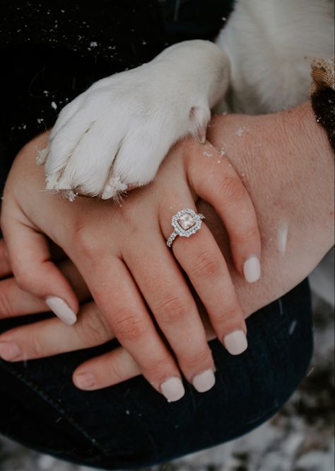 Engagement Announcement Photos With Dog, Nails For Engagement Pictures Winter, Engagement Photo Nails Ideas, December Engagement Pictures, Nails For Engagement Pictures, Winter Engagement Photos With Dog, Snow Inspiration, Engagement Photos With Dog, Christmas Engagement Photos