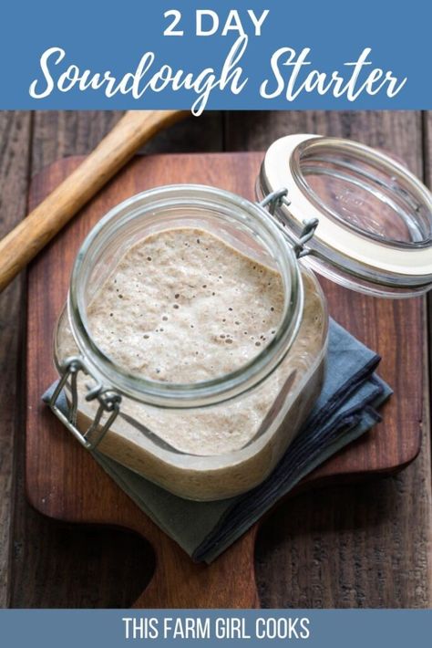 Sourdough Bread Starter, Dough Starter, Bread Starter, Sourdough Starter Recipe, Sourdough Baking, Sourdough Bread Recipe, Rye Bread, Baking Project, Starters Recipes