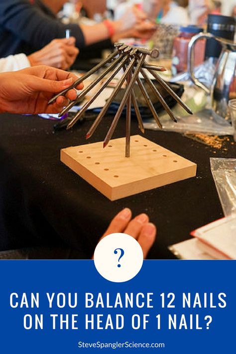 Find the center of gravity as twelve nails find precarious stability on the head of just one nail. Gravity Lessons, Teaching Physics, Gravity Experiments, Gravity Science, 6th Grade Activities, Kitchen Science Experiments, Lego Camp, Summer Workshop, Homeschool Stem