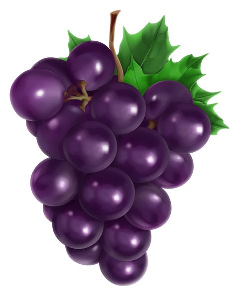 Grape clip art vector grape graphics image - Clip Art Library Grape Painting, Fruit Clipart, Clip Art Library, Food Clipart, Meteor Garden 2018, Fruit Photography, Smitten Kitchen, Clipart Free, Grape Bunch