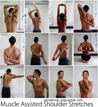 muscle assisted shoulder stretches: tricep stretch, one arm over the head, both arms over the head, cow face yoga position, grab an elbow be... Tricep Stretch, Shoulder Stretches, Arm Stretches, Yoga Positions, Shoulder Stretch, Mobility Exercises, Easy Yoga Workouts, Yoga Exercises, Formda Kal