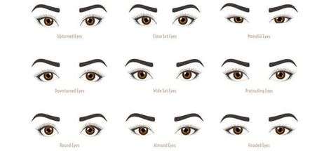 You don’t fit the standards! | Do you fit the Korean Beauty Standards? Different Types Of Eyes, Korean Beauty Standards, Protruding Eyes, Heart Shaped Lips, Monolid Eyes, Eye Makeup Application, Dark Eyeshadow, Types Of Eyes, Green Eyeshadow