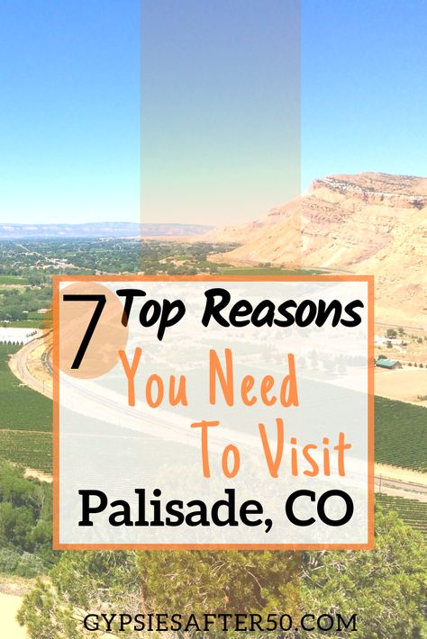 Come to Western Colorado! If you like wine, fresh peaches and natural beauty then you must read the 7 top reasons you need to visit Palisade, Colorado Palisade Colorado, Western Colorado, Colorado National Monument, Road Trip To Colorado, Colorado Fall, Visit Colorado, Living In Colorado, Colorado Adventures, Fresh Peaches