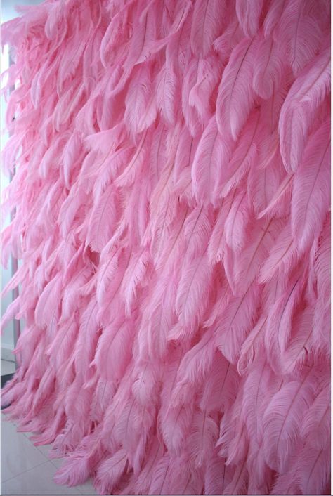 3D Feather Wall For Wedding Arrangement Bridal Shower Event Salon Party Photography Backdrop Fabric Rolling Up Curtain Cloth Material:fabric & feather Size(Notes: 1m=3.28ft=39.37in):                                                          1mx1m(3.28ftx3.28ft)                                                         1.2mx2.4m(4ftx8ft)                                                         2.4mx2.4m(8ftx8ft )as main pictures showed                                 The price $269 is  for 1 square m Pink Feather Wall, Wall For Wedding, Pop Star Party, Roll Up Curtains, Salon Party, Backdrop Fabric, Fabric Feathers, Glitter Photo, Feather Wall