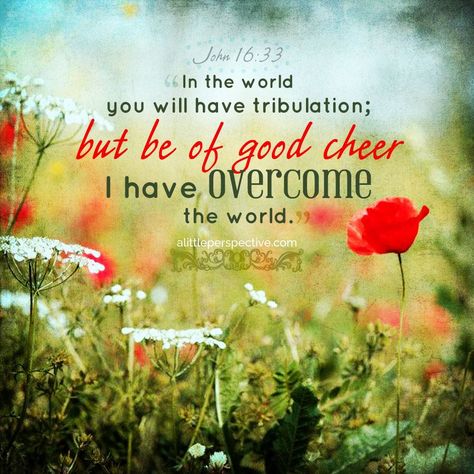 In the word you will have tribulation; but be of good cheer I have OVERCOME THE WORLD. ~ JOHN 16:33 Encouraging Scripture Quotes, Be Of Good Cheer, I Have Overcome The World, Biblical Quotes Inspirational, Prayer Group, Powerful Scriptures, Christian Post, Overcome The World, Devotional Books