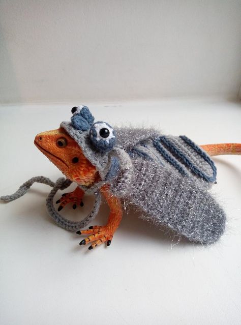 Bearded Lizard, Demogorgon Costume, Fly Costume, Bearded Dragon Clothes, Bearded Dragon Funny, Dragon Clothing, Cute Gecko, Bearded Dragon Cute, Pig Costumes