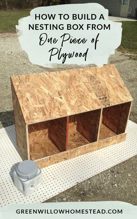 Diy Chicken Coop Ideas, Decorating Backyard, Coop Layout, Reban Ayam, Chicken Coop Ideas, Coop Decor, Build A Chicken Coop, Cute Chicken Coops, Chicken Coop Garden