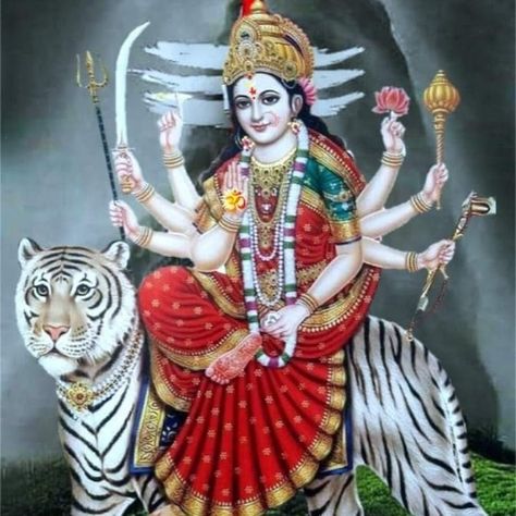 Amba Mataji Images, Lord Durga, Maa Image, Maa Durga Photo, Durga Picture, Devi Images Hd, Wild Animal Wallpaper, Happy Navratri Images, Shiva Parvati Images