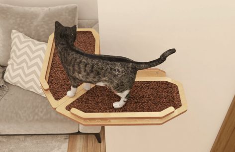 Cat Climbing Wall, Cat Travel Carrier, Cat Ladder, Cardboard Cat House, Polydactyl Cat, Cardboard Cat Scratcher, Cat Shelf, Modern Cat Tree, Cat Fountain