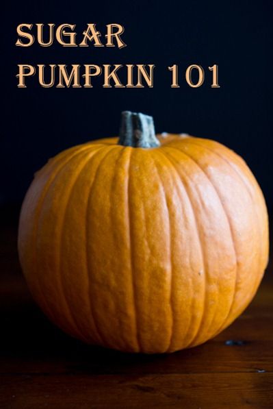 how to roast a pumpkin-4880 Oh She Glows, Fresh Pumpkin, How To Roast, Sugar Pumpkin, Pumpkin Butter, Canned Pumpkin, Kitchen Tips, Baking Tips, Photo Tutorial